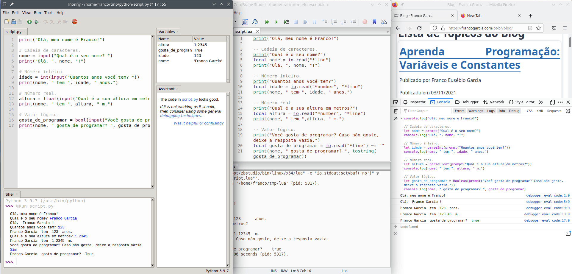 Exemplos de uso de entrada para programas escritos em Python, Lua e JavaScript.