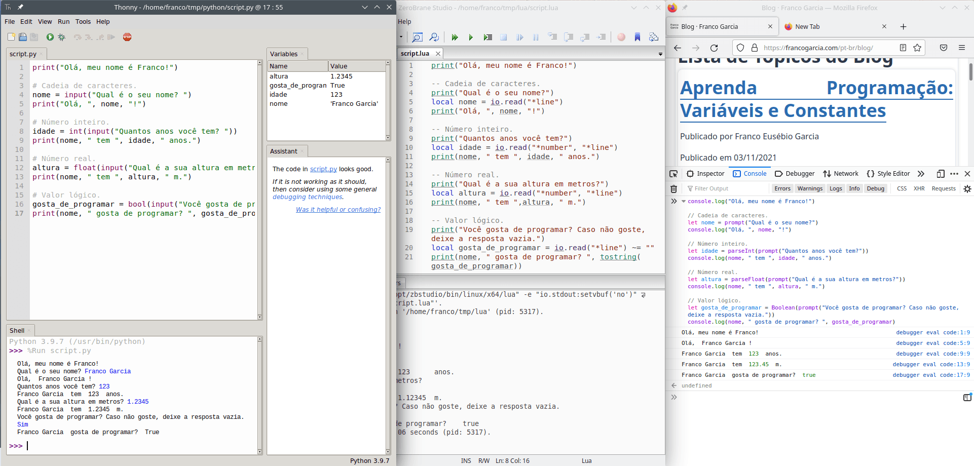 Examples of input usage in programs written in Python, Lua and JavaScript.