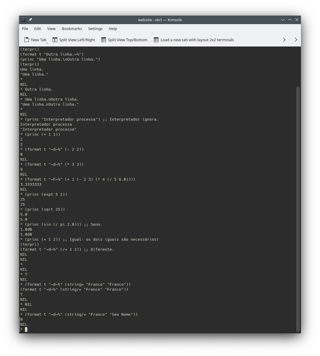 Examples of use and outputs of code snippets described in this section using the `sbcl` interpreter for LISP on the command line.