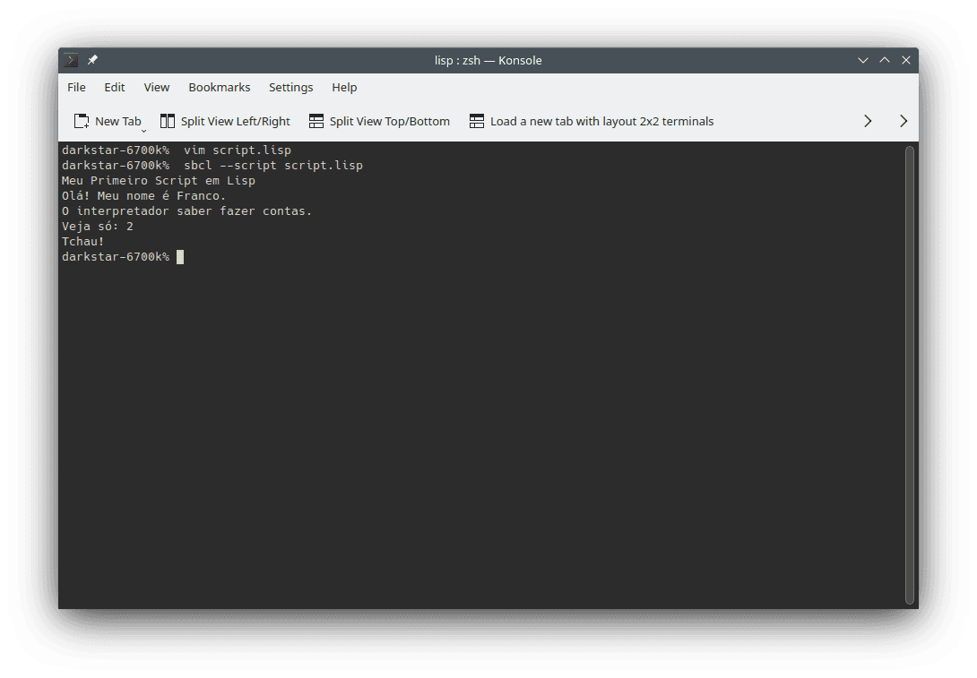 Example of running the `script.lisp` in the command line. The image shows the performed command (`sbcl --script script.lisp`) and the results its execution.