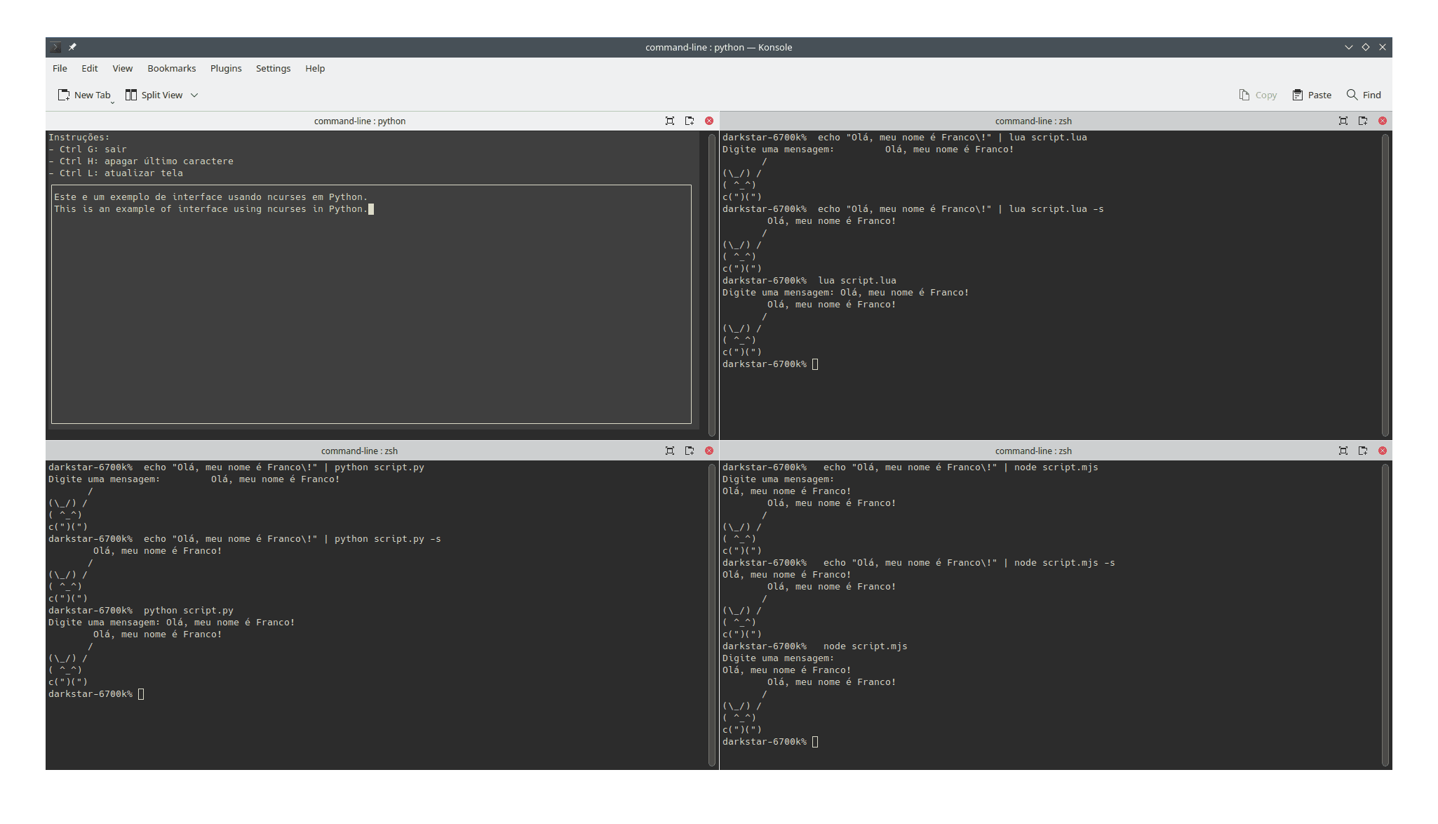 Example of using command line input in four programming languages: Python, Lua, GDScript and JavaScript.