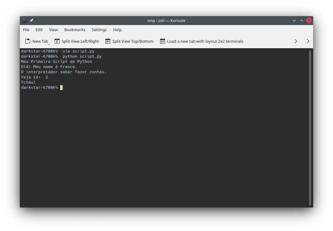 Example of running the `script.py` in the command line. The image shows the performed command (`python script.py`) and the results its execution.