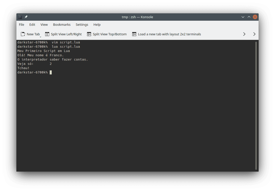 Example of running the `script.lua` in the command line. The image shows the performed command (`lua script.lua`) and the results its execution.